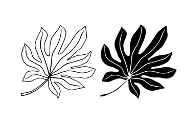 Line sketch, silhouette, stamp of tropical leaves. Vector graphics.