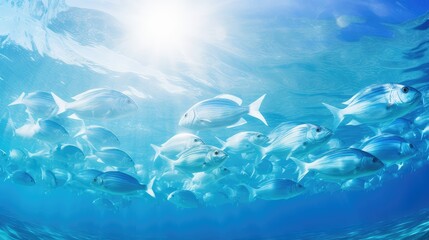 Obraz premium underwater blue fish