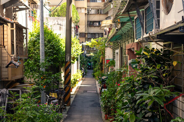 Lush Green Residential Alleyway Surrounded by Plants and Traditional Homes in Urban Taipei Neighborhood