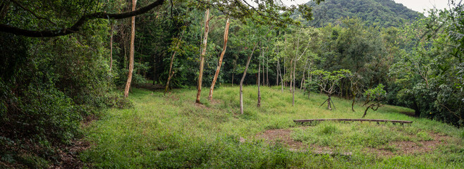 Expansive green meadow surrounded by dense tropical forest with towering trees in Taiwan