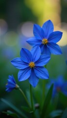 Dark blue flowers blooming in a garden with sparkly effect, bloom, bokeh