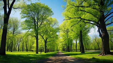 Naklejka premium lush spring trees background