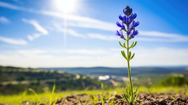 deals funny black friday