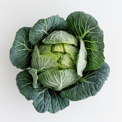 Obraz premium Fresh Green Savoy Cabbage Isolated on White Background.