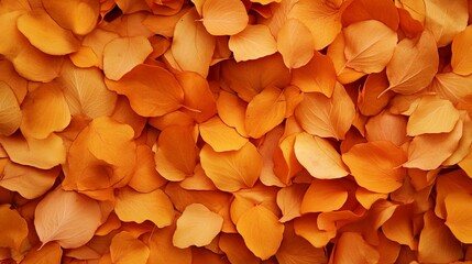 Autumn Natural Background with Vibrant Fall Foliage and Copy Space