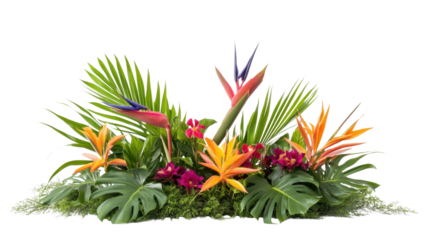 A lush green plant with a red flower in the middle. The plant is full of leaves and is surrounded by other plants