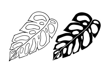Obraz premium Line sketch, silhouette, stamp of tropical leaves. Vector graphics.