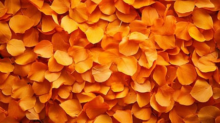 Autumn Natural Background with Vibrant Fall Foliage and Copy Space