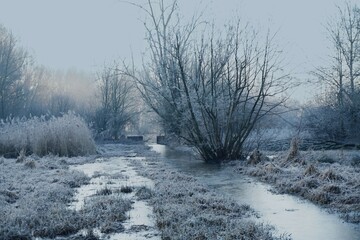 Winterlandschaft an der Niersaue im Februar 