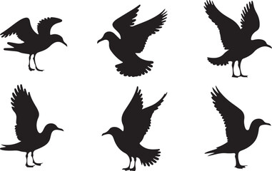 Obraz premium Seagull silhouettes