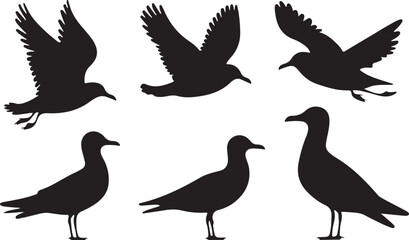 Obraz premium Seagull silhouettes