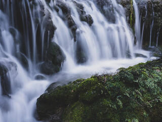 beautiful waterfall in the forest
