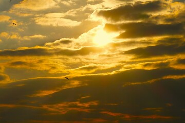 Dramatic clouds in colorful sunset with flaying birds