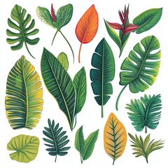 realistic of collection of tropical leaves isolated on white background,Lush Tropical Leaves Collection – Realistic Botanical Beauty on White Vibrant collection of tropical leaves arranged.