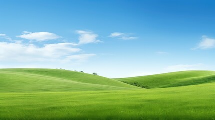 Obraz premium landscape grass white background