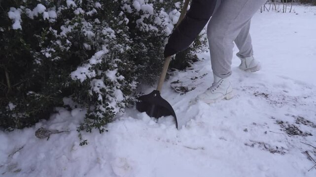 We remove snow with a shovel 