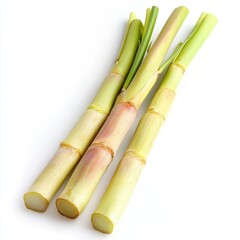Fototapeta premium Fresh Green Sugarcane Stalks on White Background.