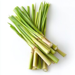 Fototapeta premium Fresh Green Sugarcane Stalks on White Background.