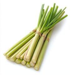 Fototapeta premium Fresh Lemongrass Stalks Bundle Isolated on White Background.