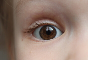 close up of female eye. child's brown eye macro. 