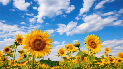 Obraz premium sky red yellow blue photography