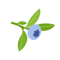 Ripe,colorful berries of wild blueberries with green leaves.Vector graphics.