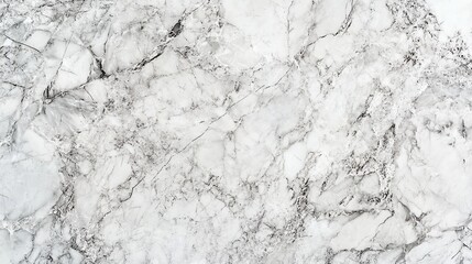 Obraz premium Winter Frost Branches Texture