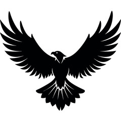 Obraz premium Adobe Illustrator Artwork