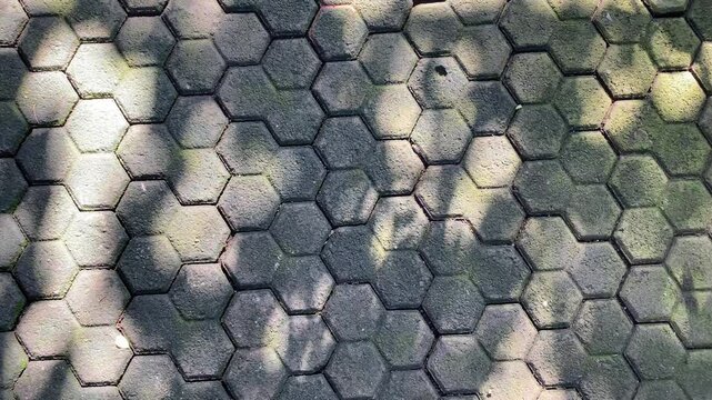 Shadow and light of leaves overlay on  paving blocks floor. Blur shadows of plants and tree leaves. Vertical video