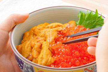 美味しそうなウニいくら丼