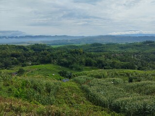 Naklejka premium landscape, nature, mountain, sky, mountains, panorama, green, clouds, hills, countryside, hill, panoramic, valley, summer, view, grass, autumn, forest, field, scenery, trees, country, tree, travel, 