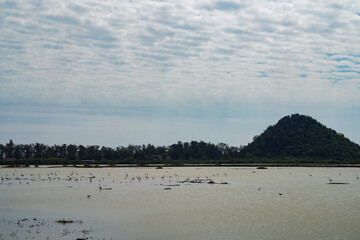 Naklejka premium View of Sam Roi Yot National Park, Pran Buri District, Prachuap Khiri Khan Province, Thailand