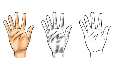 Hand Gesture Number Five Line Art Shaded Colored