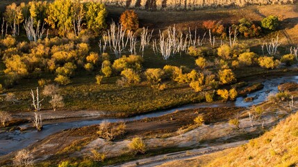 Autumn landscape with a meandering river.