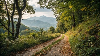 Obraz premium road to the mountains