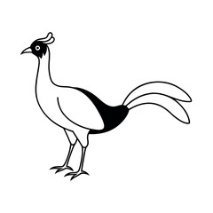Professional Superb Lyrebird Black Vector Artwork
