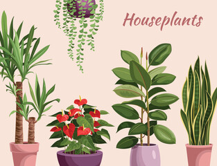 Composition of indoor plants on a pastel background