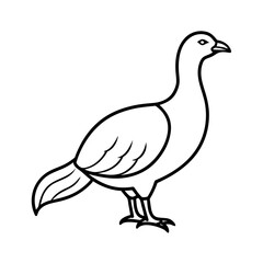 Stylish Greater Sage Grouse Line Art for T-Shirt Designs
