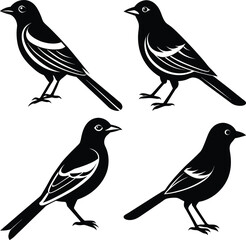 Minimalist Oriole Silhouette Vector Icon Set for Clean Designs.