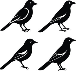 Minimalist Oriole Silhouette Vector Icon Set for Clean Designs.