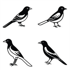 Minimalist Oriole Silhouette Vector Icon Set for Clean Designs.