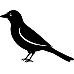 High-Quality Oriole Bird Silhouette Vector – Perfect for Logos.