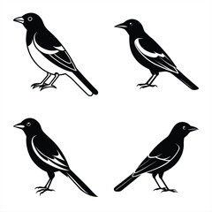 Minimalist Oriole Silhouette Vector Icon Set for Clean Designs.