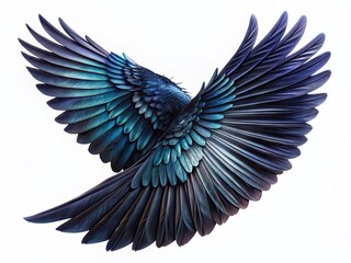 Obraz premium Isolated Black Wing, High-Resolution Photo, Deep Depth of Field, White Background, Bird Feather