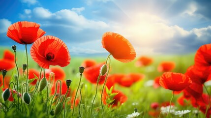 Naklejka premium flowers patriotic background red