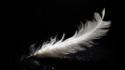 Obraz premium monochrome snow falling black background