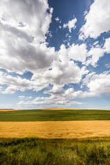 road, landscape, sky, field, nature, country, summer, grass, clouds, rural, countryside, way, travel, horizon, green, asphalt, hill, path, cloud, highway, land, agriculture, mountain, view, dirt