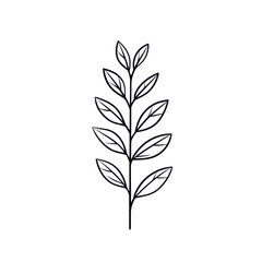 Naklejka premium Elegant leaf design showcasing natural beauty and intricate details., transparent background.