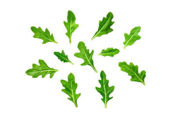 Naklejka premium Fresh green oak leaves arranged artistically on a dark background., transparent background.