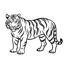 Fototapeta premium High-Quality Black and White Tiger Illustration Vector